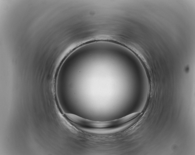 X0000093741342200710231204