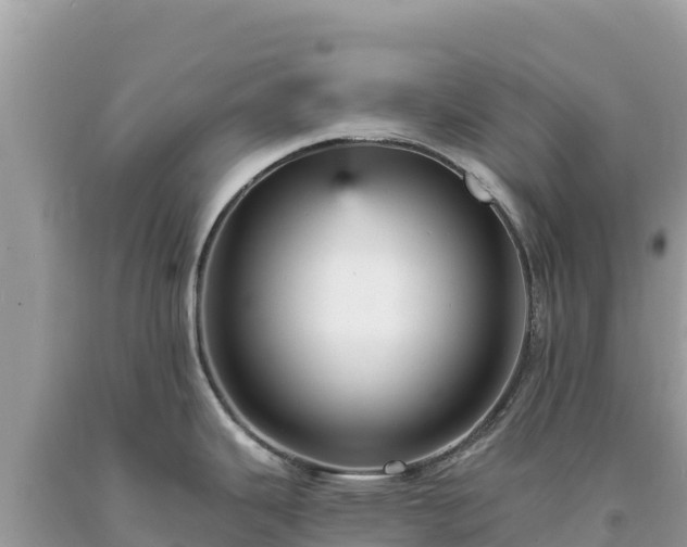 X0000093741343200710231204