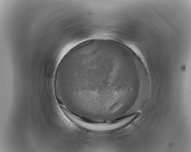 X0000093741344200710231204