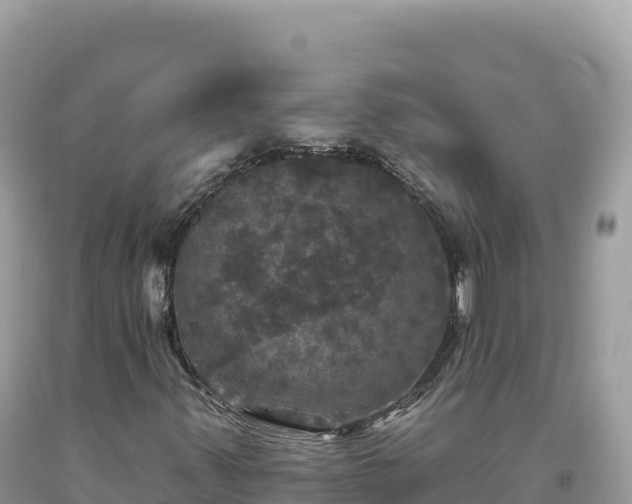 X0000093741347200710231203