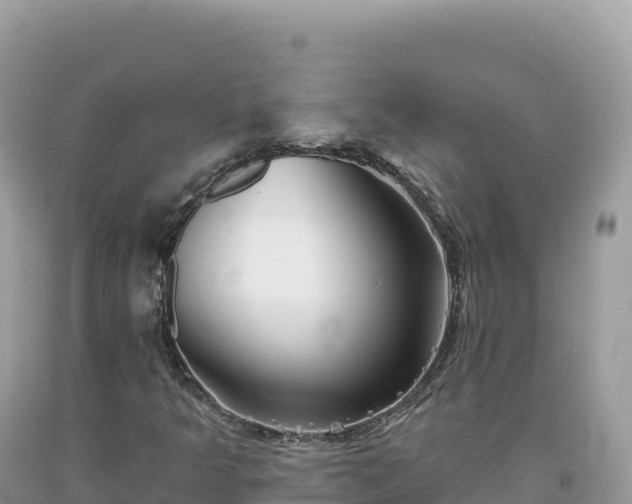 X0000093741349200710231203