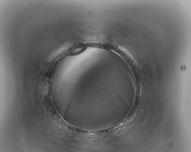 X0000093741350200710231203