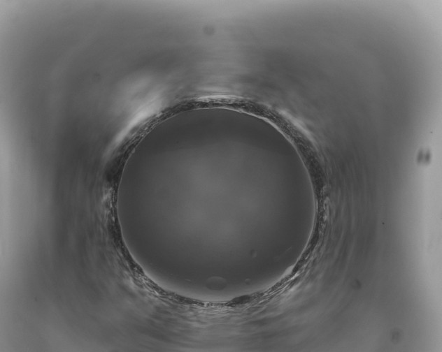 X0000093741351200710231203