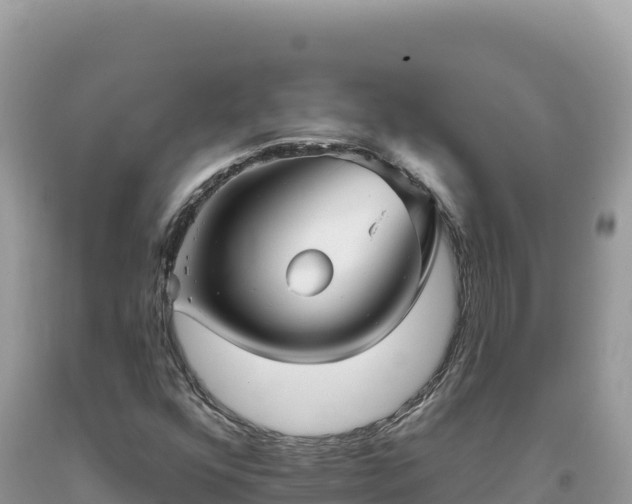 X0000093741352200710231203