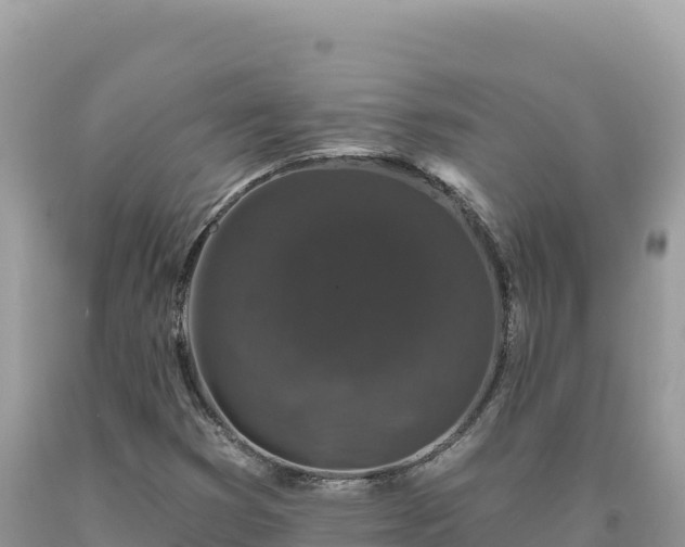 X0000093741353200710231203