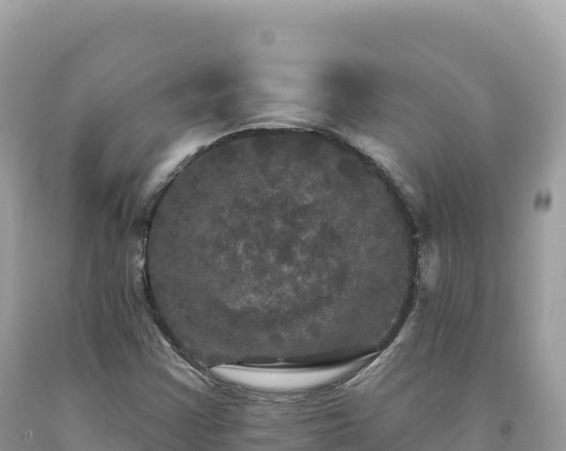 X0000093741355200710231203