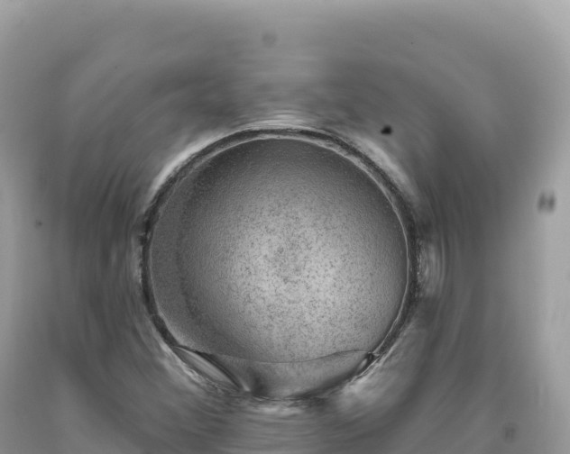 X0000093741356200710231203