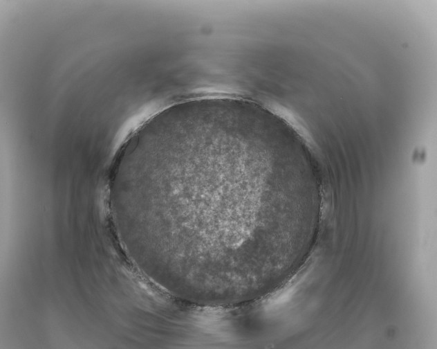 X0000093741357200710231203