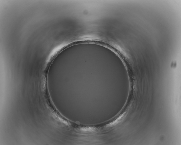 X0000093741358200710231203