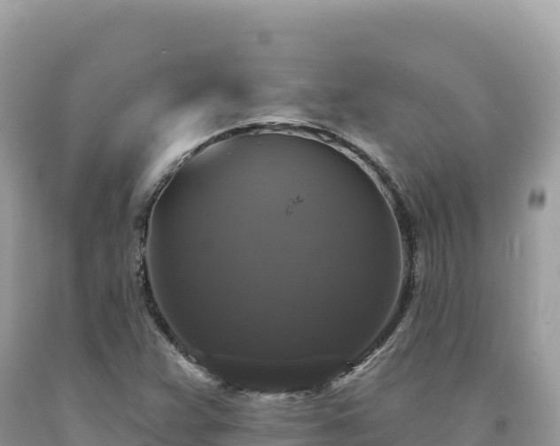 X0000093741359200710231203