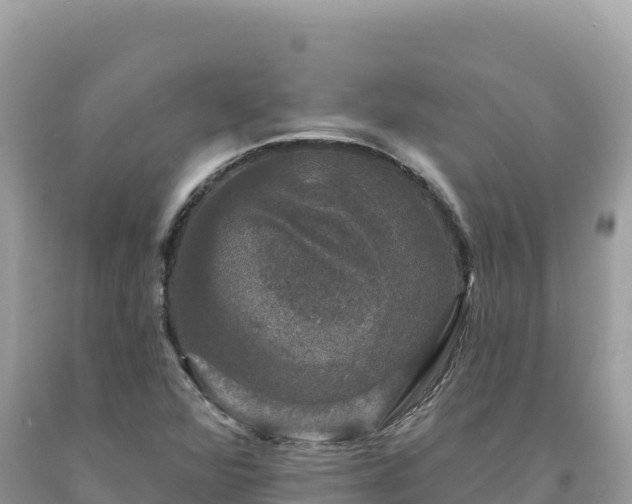 X0000093741360200710231203
