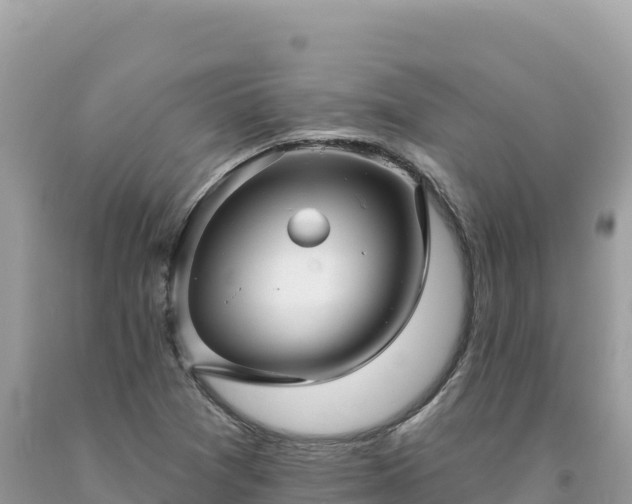 X0000093741361200710231203