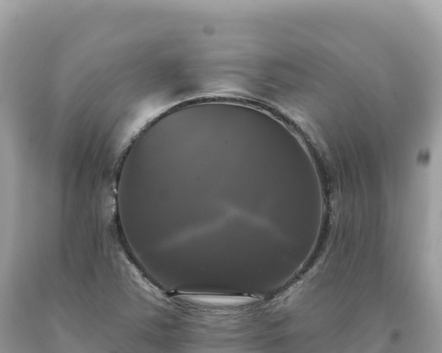 X0000093741363200710231203