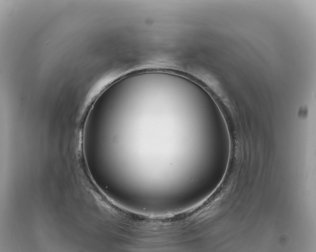 X0000093741366200710231203