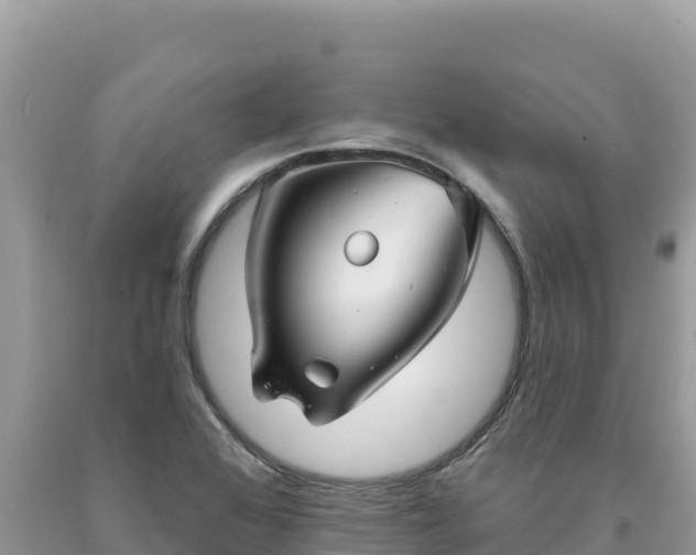 X0000093741368200710231203