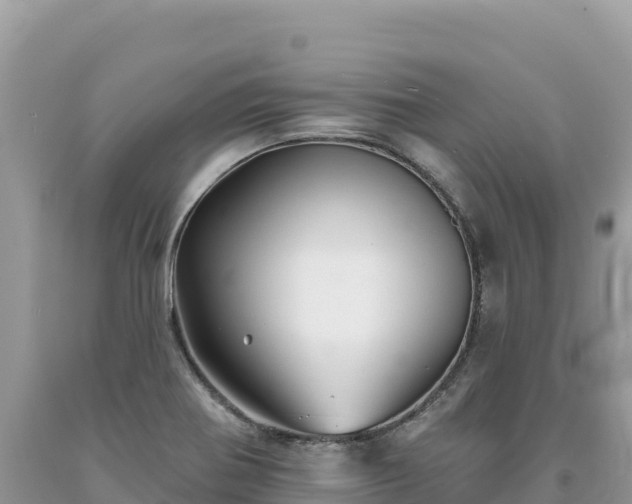 X0000093741370200710231203