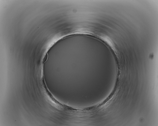 X0000093741371200710231203
