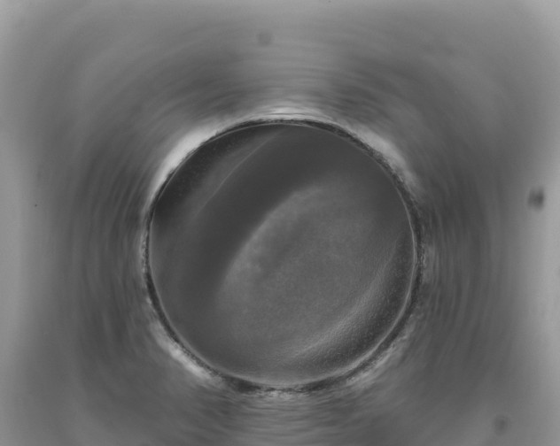 X0000093741374200710231203