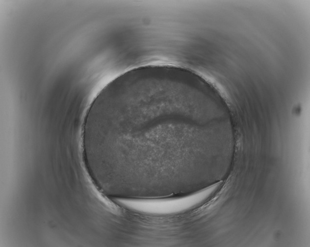X0000093741375200710231203