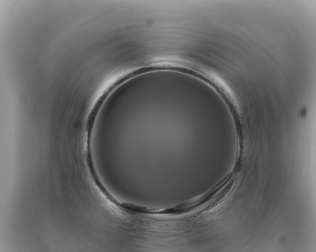 X0000093741376200710231203