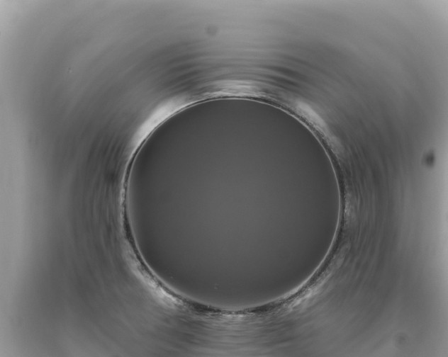 X0000093741378200710231203