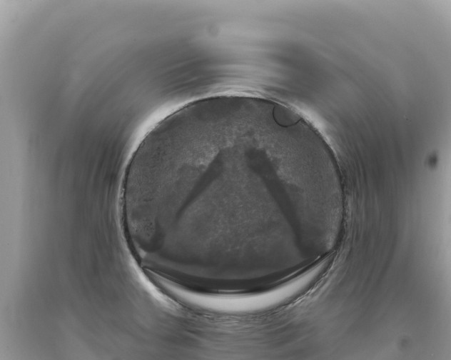 X0000093741379200710231203