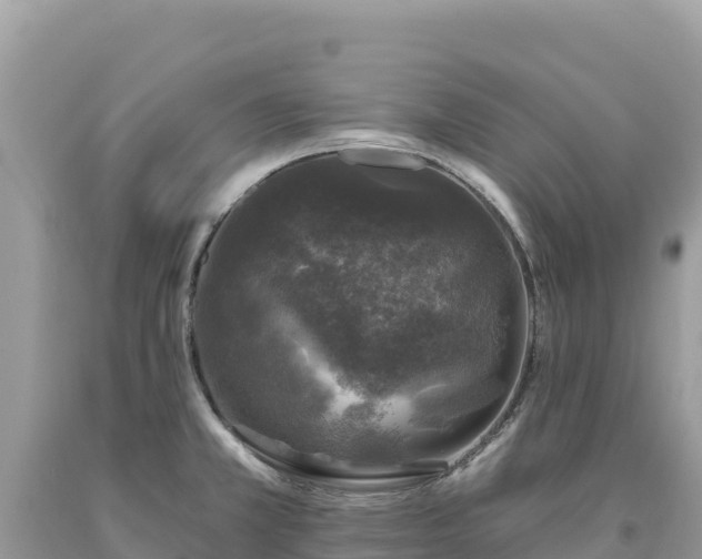 X0000093741381200710231203