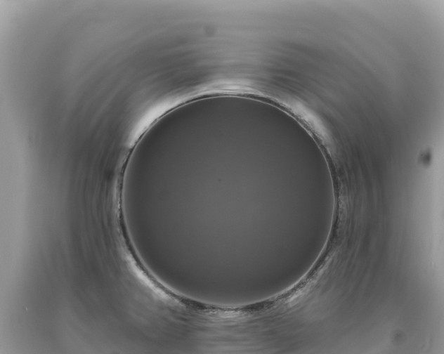 X0000093741382200710231203
