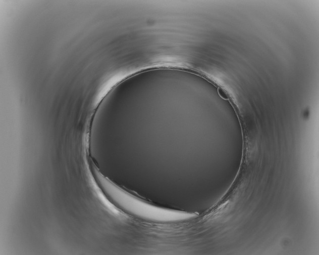 X0000093741383200710231203