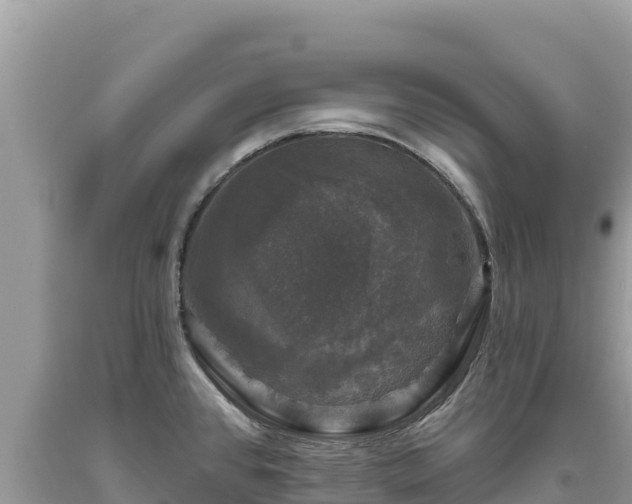 X0000093741384200710231203