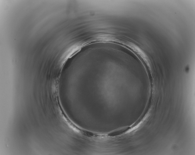 X0000093741385200710231203