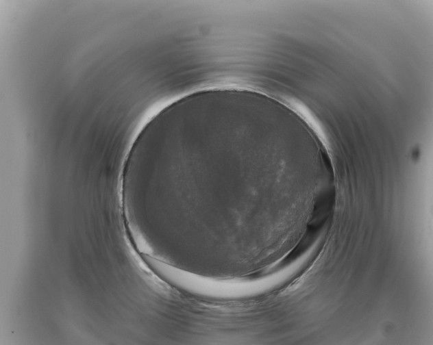 X0000093741388200710231202