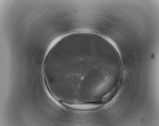 X0000093741389200710231202