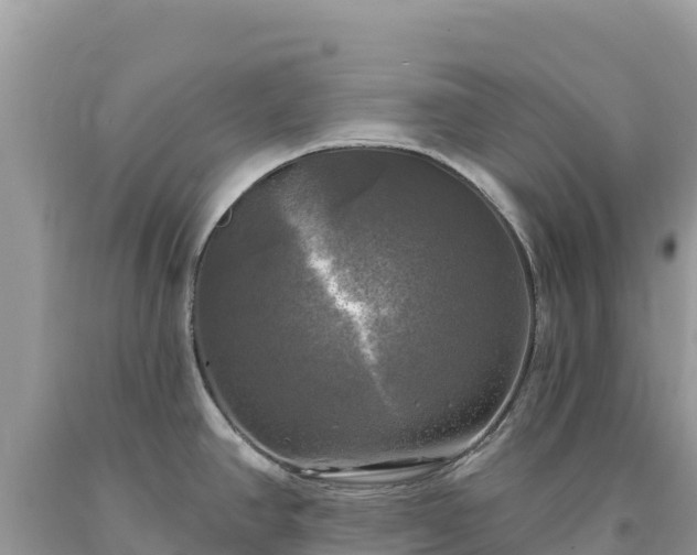 X0000093741390200710231202