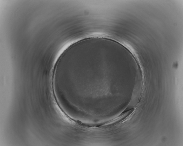 X0000093741392200710231202