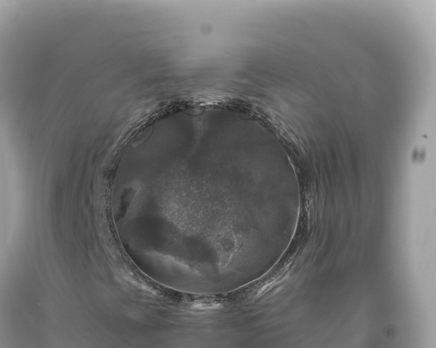 X0000093741393200710231202