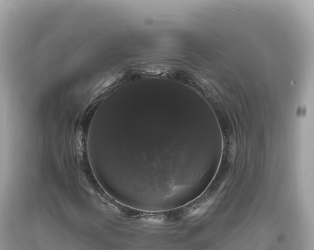X0000093741394200710231202