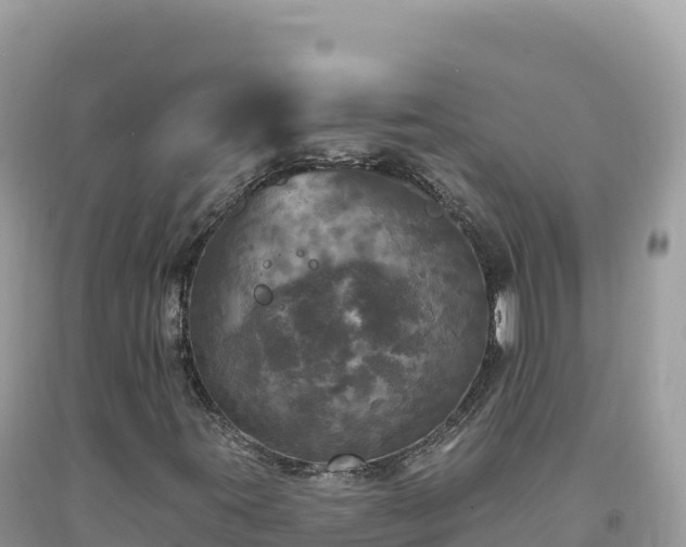 X0000093741395200710231202