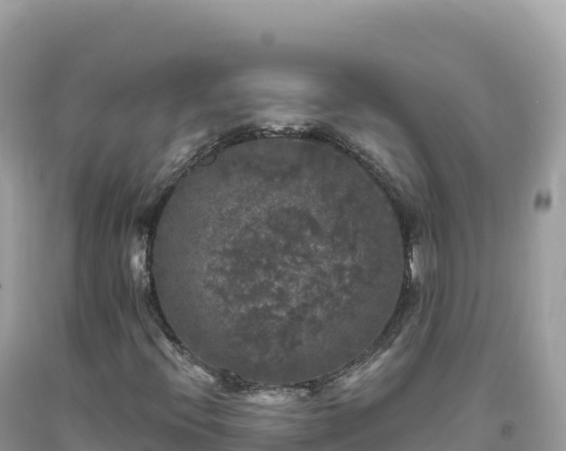 X0000093741396200710231202