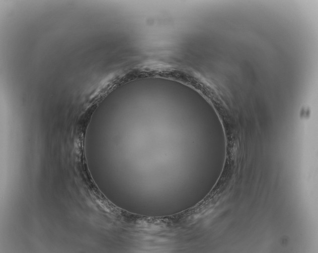 X0000093741397200710231202