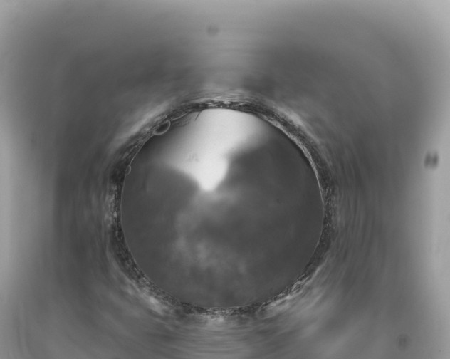 X0000093741399200710231202