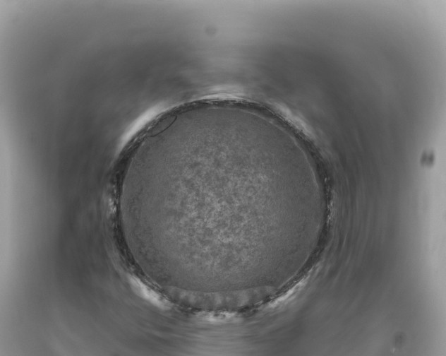 X0000093741400200710231202