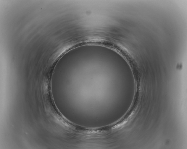 X0000093741401200710231202