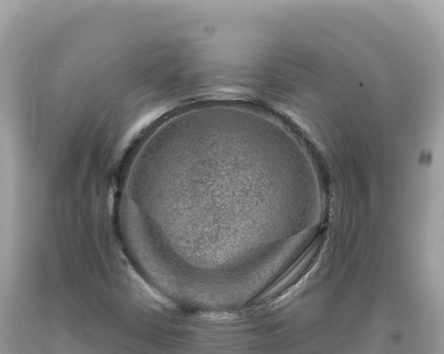 X0000093741402200710231202