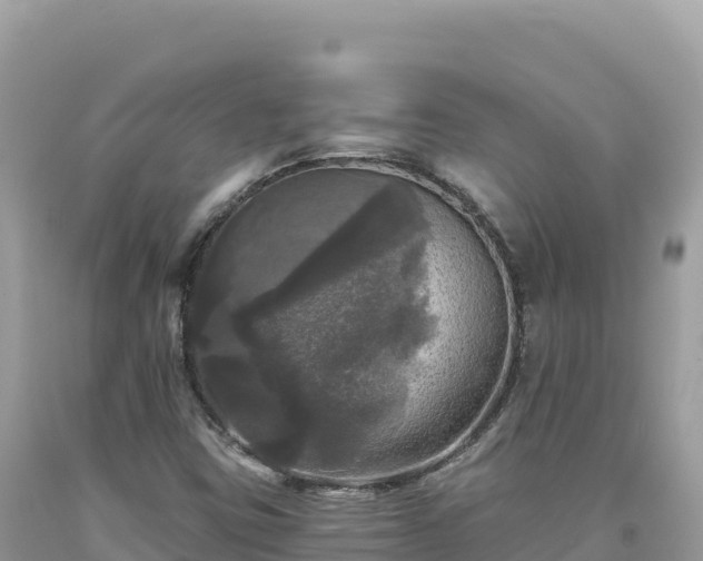 X0000093741403200710231202