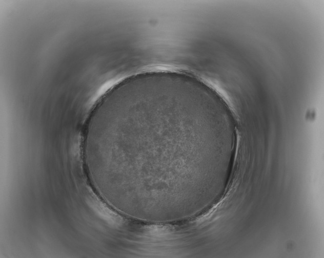 X0000093741404200710231202