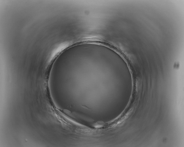 X0000093741405200710231202