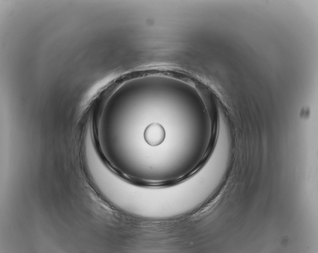 X0000093741406200710231202