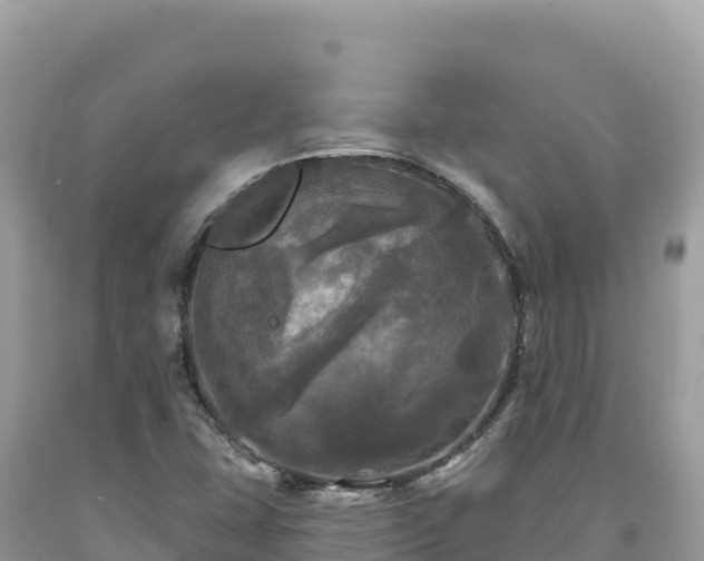 X0000093741407200710231202