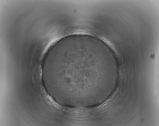 X0000093741408200710231202
